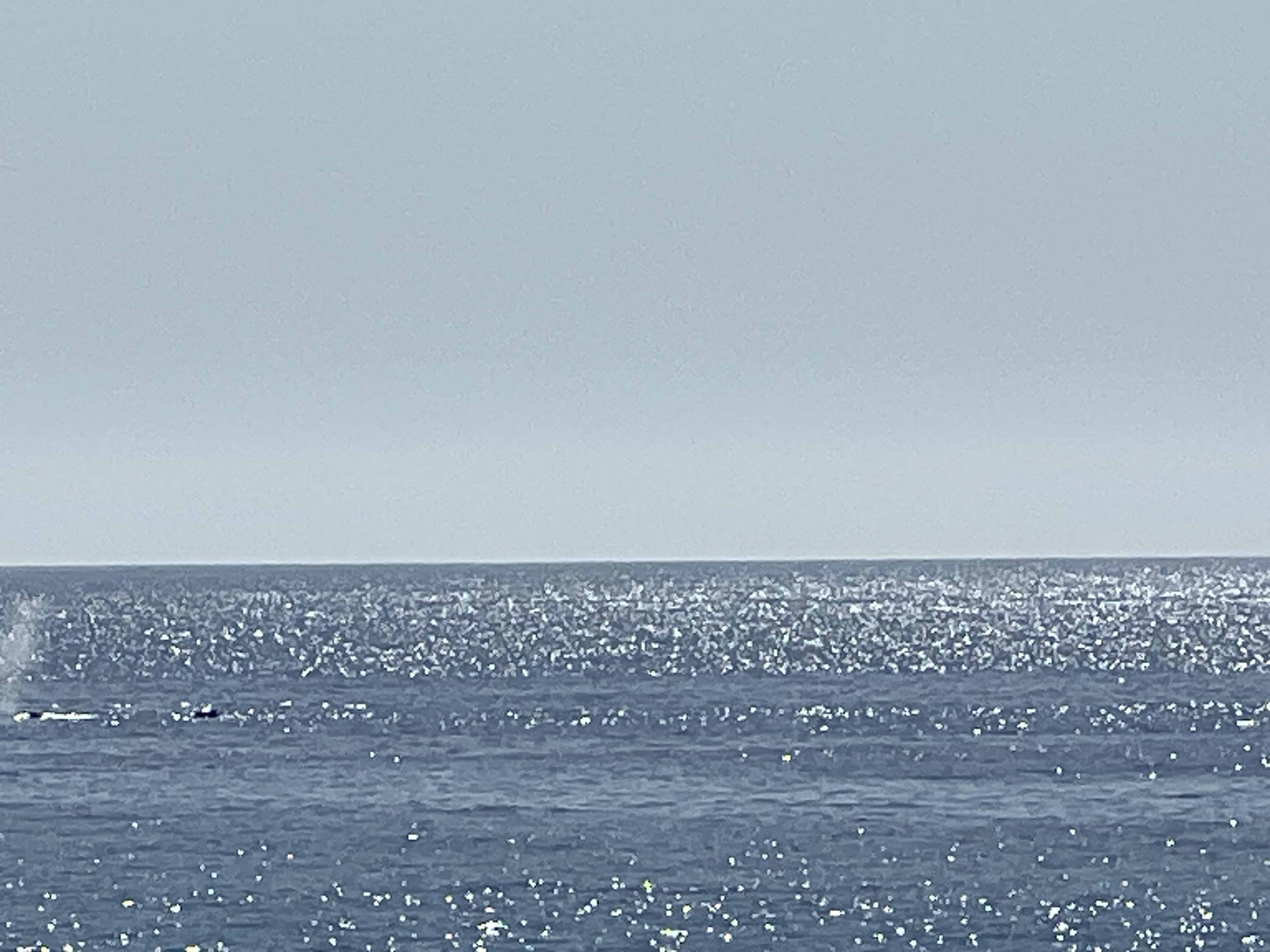 ./2024/13 - Cabo/IMG_4600.jpg